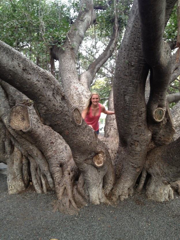 Banyan Tree! Have you seen this tree? It's the coolest. I also swear I wasn't trying to flash everybody.