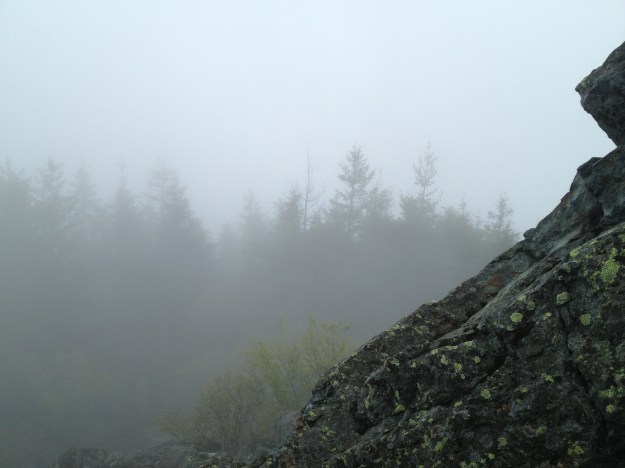 Such a rewarding view from the top...