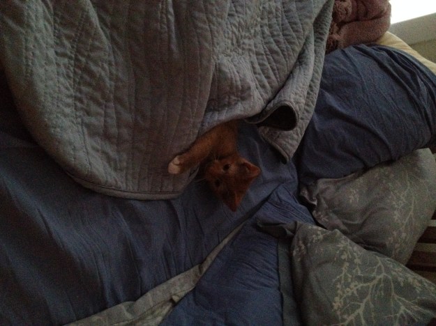 "My bed, not yours."