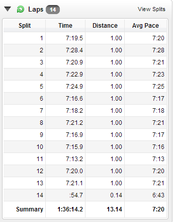 No running blogger has ever posted this type of picture ever. But look! Consistency!