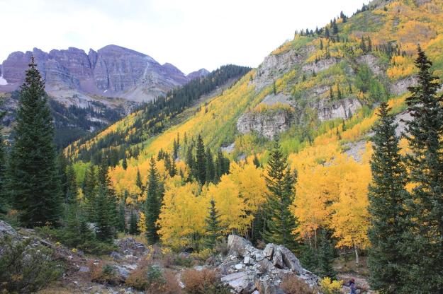 I can't make this up.