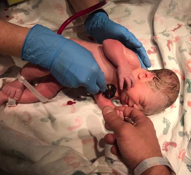 B4FE15FA-8287-48E2-99BB-3FC9668D13A5